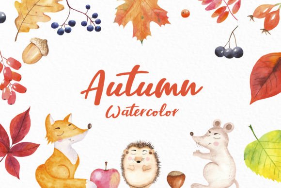 Bright Autumn and Animals Watercolor Illustrations