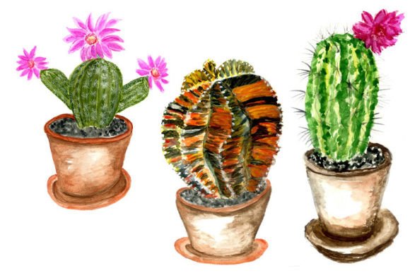 Cacti Watercolor Art: A Versatile Illustration for Bloggers and Publishers