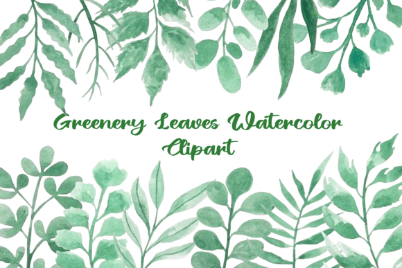 Watercolor Greenery Leaves Clipart PNG Review