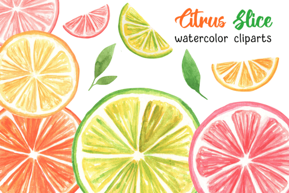 Watercolor Orange Citrus Clipart PNG Review