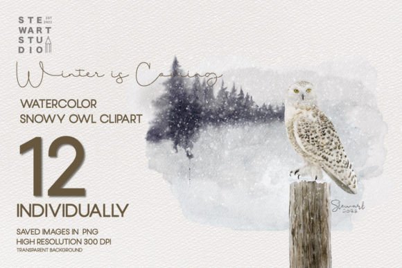 Watercolor Snowy Owls Clipart